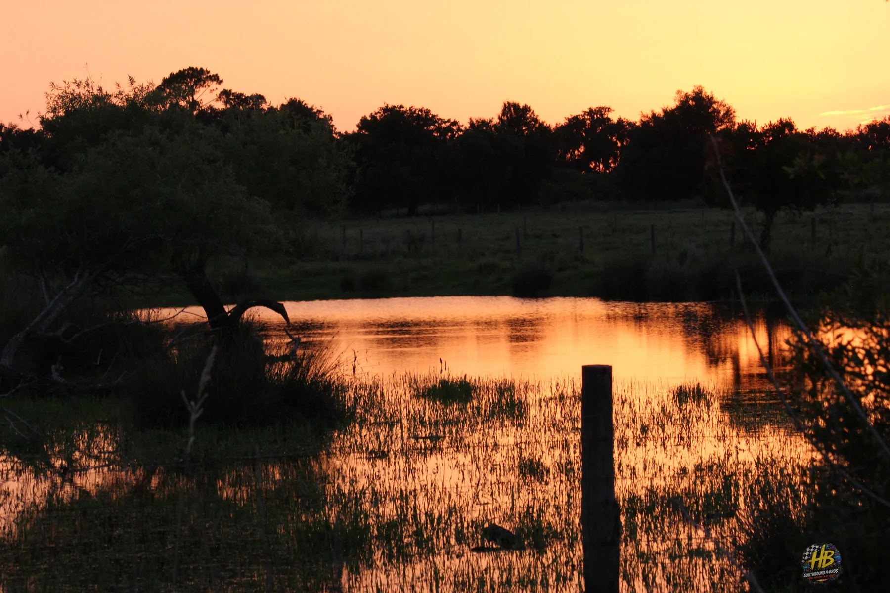 Pond reflecting sunset